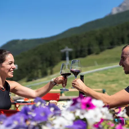 Des Alpes Отель 3*
