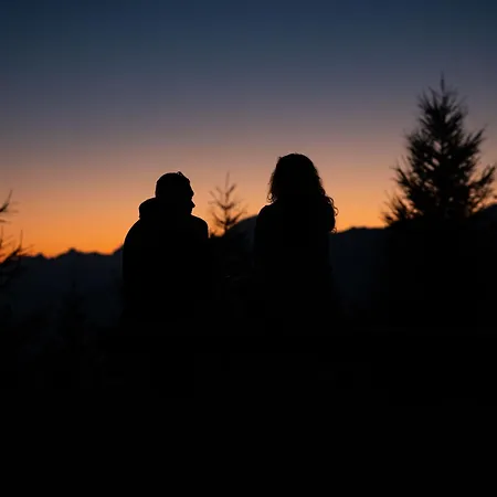 Des Alpes 3* Пила