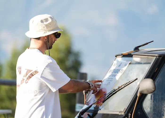 Des Alpes فندق غريسان